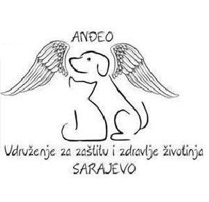 andjeo-sarajevo